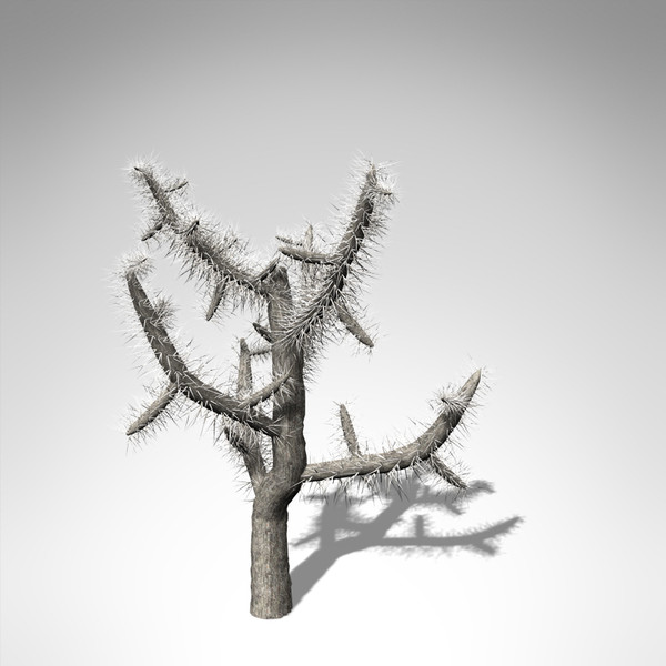 xfrogplants jumping cholla plant 3d model - XfrogPlants Jumping Cholla... by xfrog