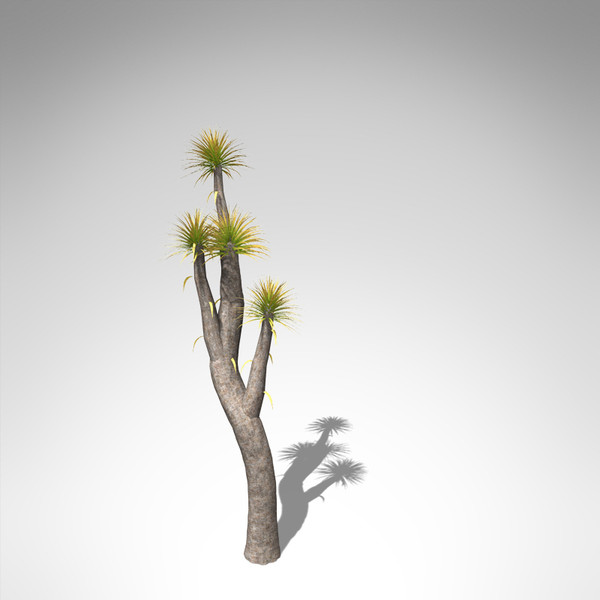 joshua tree plant 3d model - XfrogPlants Joshua Tree... by xfrog