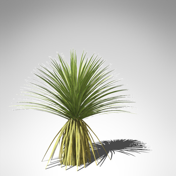 soaptree yucca plant 3d model - XfrogPlants Soaptree Yucca... by xfrog