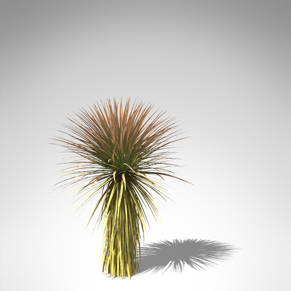 soaptree yucca plant 3d model - XfrogPlants Soaptree Yucca... by xfrog