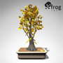 3d xfrogplants bonsai ginkgo model