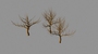 dead trees max