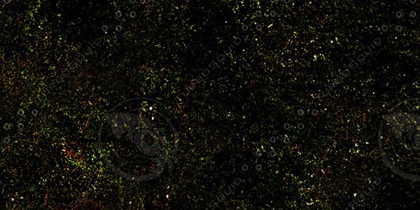 Grass Collection A 011-020