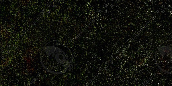 Grass Collection A 011-020