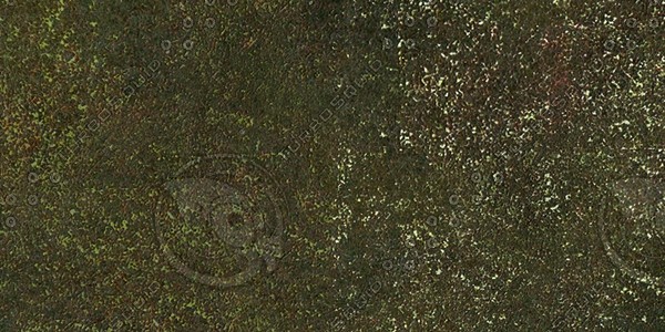 Grass Collection A 011-020