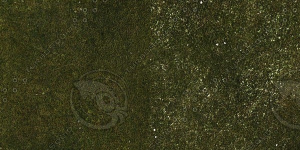 Grass Collection A 011-020