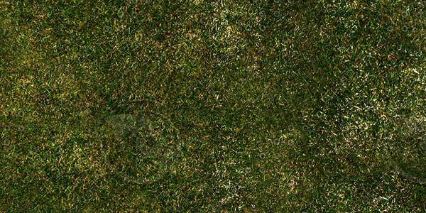 Grass Collection A 011-020