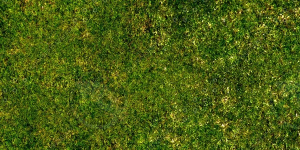 Grass Collection A 011-020