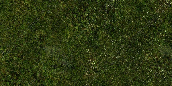 Grass Collection A 021-030