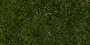 Grass Collection A 021-030