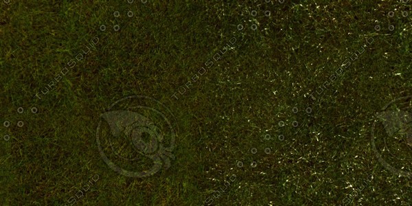 Grass Collection A 021-030