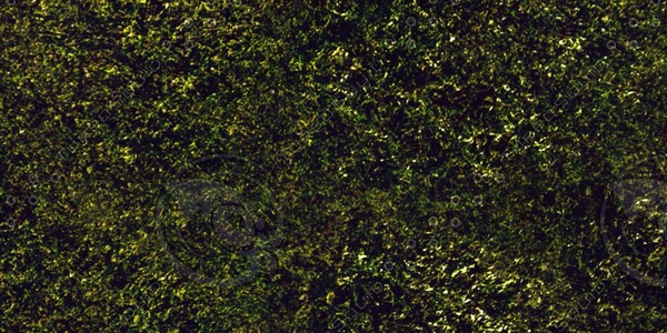 Grass Collection A 021-030