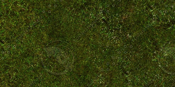 Grass Collection A 021-030