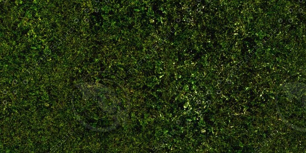 Grass Collection A 021-030