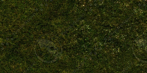 Grass Collection A 021-030