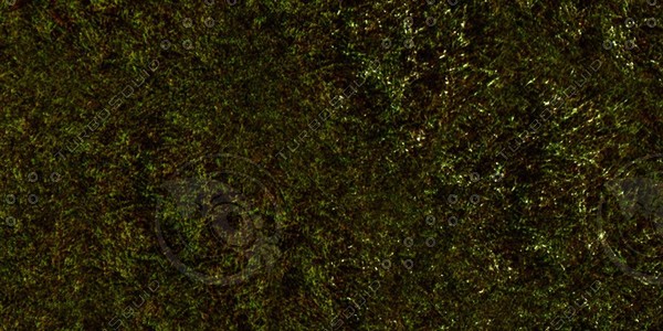 Grass Collection A 021-030