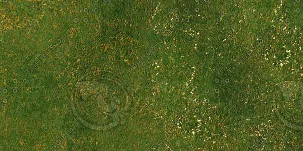 Grass Collection A 031-040