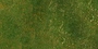 Grass Collection A 031-040
