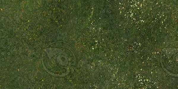 Grass Collection A 031-040