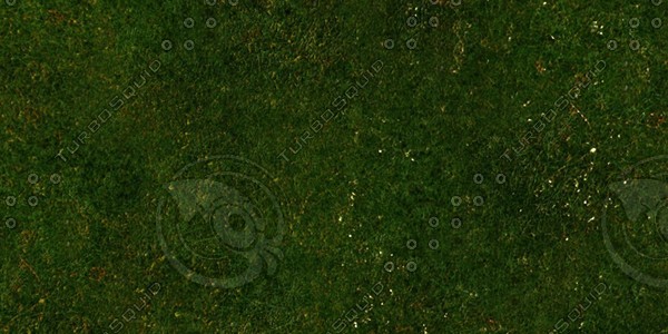 Grass Collection A 031-040