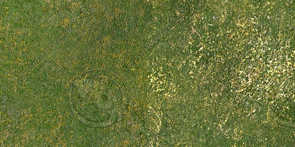 Grass Collection A 031-040