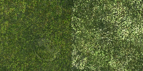 Grass Collection A 031-040