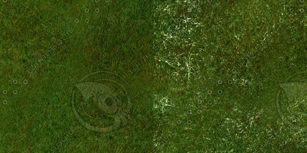 Grass Collection A 031-040