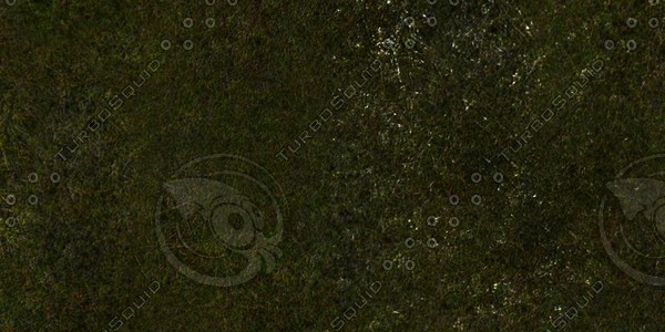 Grass Collection A 031-040