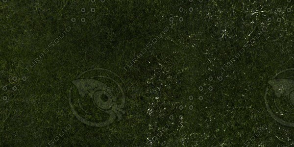 Grass Collection A 031-040