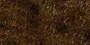 Grass Collection A 041-050