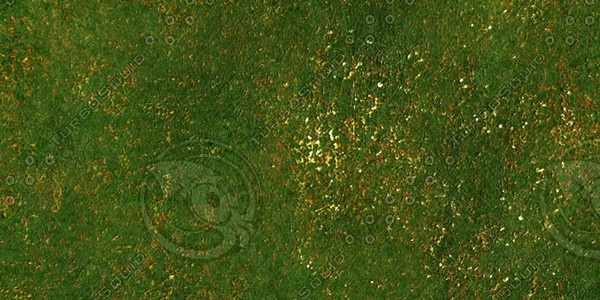 Grass Collection A 041-050