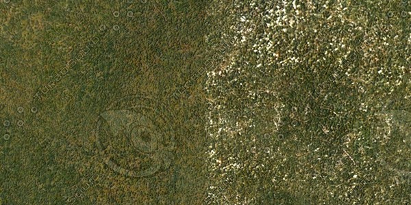 Grass Collection A 041-050