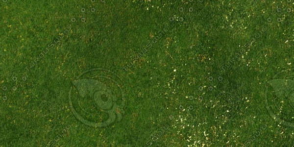 Grass Collection A 041-050