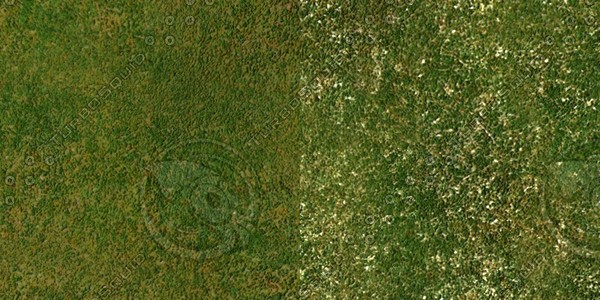 Grass Collection A 041-050