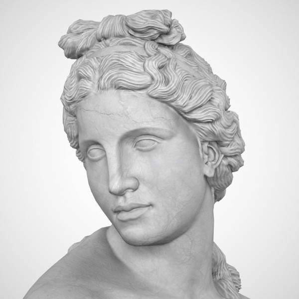 max aphrodite kallipygos bust - Aphrodite Kallipygos Bust... by clay master
