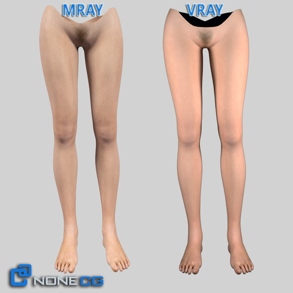 3ds max realistic female legs feet - Adult Female Legs and Feet... by NONECG