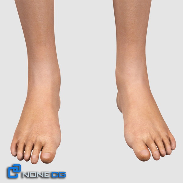 3ds max realistic female legs feet - Adult Female Legs and Feet... by NONECG