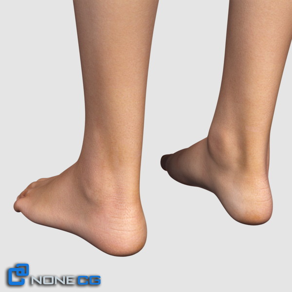 3ds max realistic female legs feet - Adult Female Legs and Feet... by NONECG