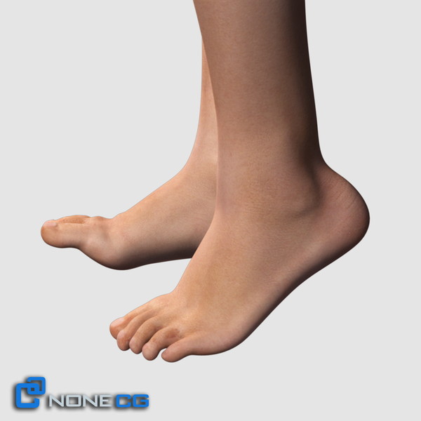 3ds max realistic female legs feet - Adult Female Legs and Feet... by NONECG