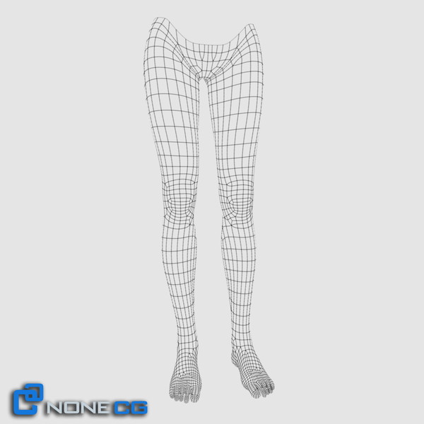 3ds max realistic female legs feet - Adult Female Legs and Feet... by NONECG