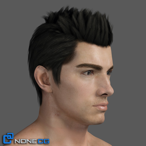max realistic male head rigged - Adult Male Head Rigged... by NONECG