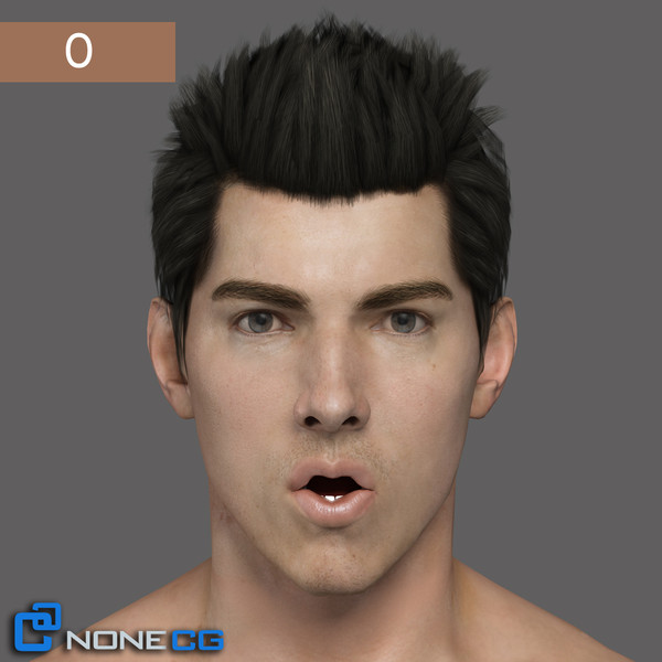 max realistic male head rigged - Adult Male Head Rigged... by NONECG