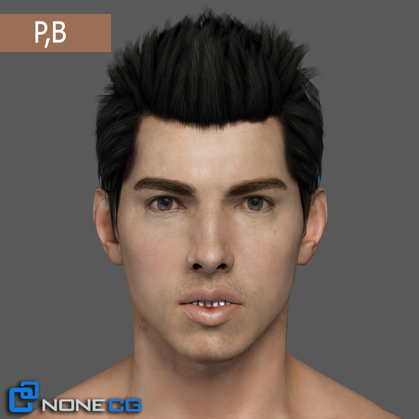 max realistic male head rigged - Adult Male Head Rigged... by NONECG