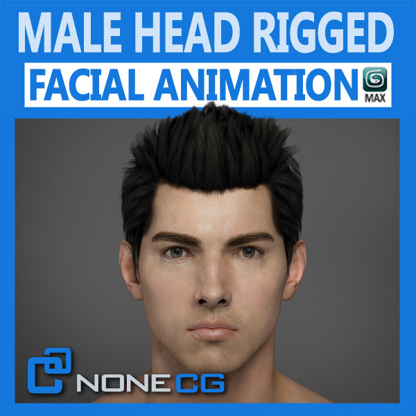 max realistic male head rigged - Adult Male Head Rigged... by NONECG