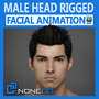 max realistic male head rigged