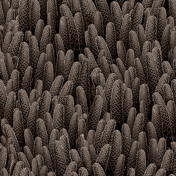 Textile pattern buds
