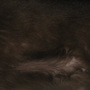 cat fur 01