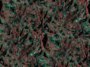 forest02