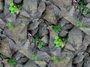 stones