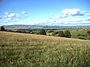 HDRI Meadow